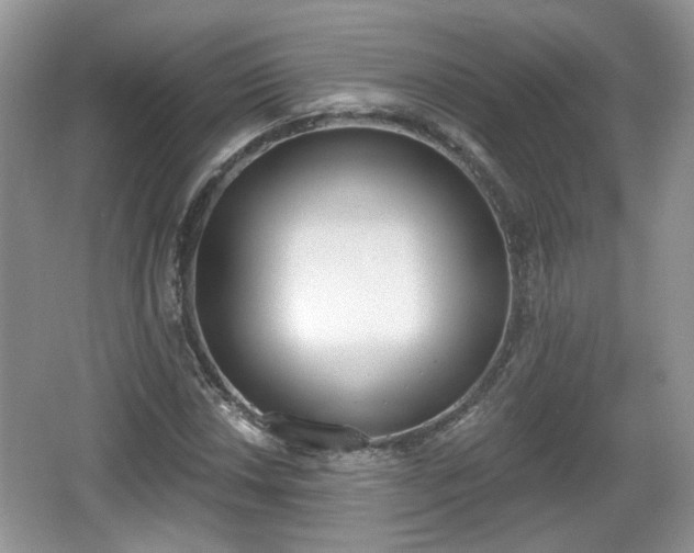 X0000067331018200604071320