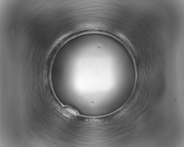 X0000067331019200604071320