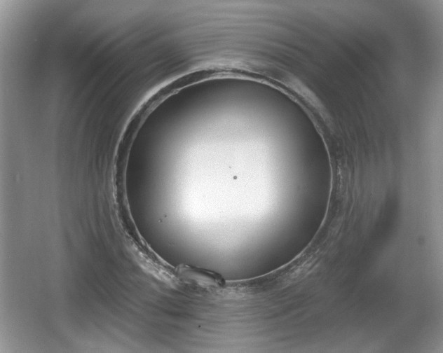 X0000067331020200604071320