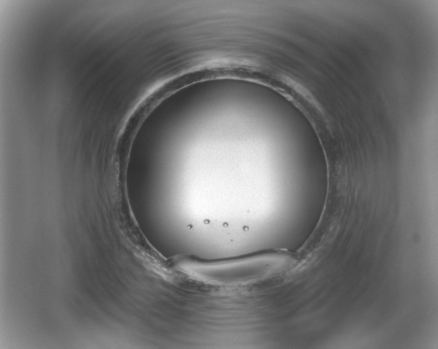 X0000067331021200604071320