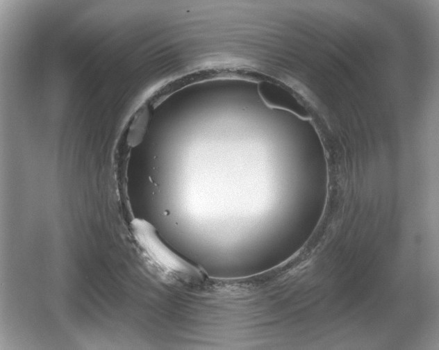 X0000067331022200604071320