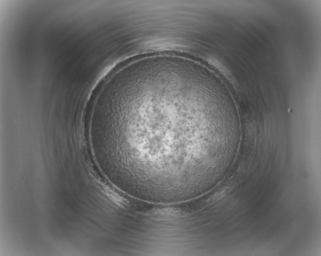 X0000067331023200604071320