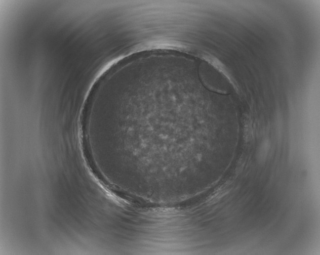 X0000067331024200604071320