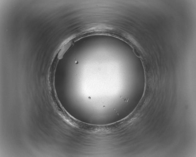 X0000067331026200604071320