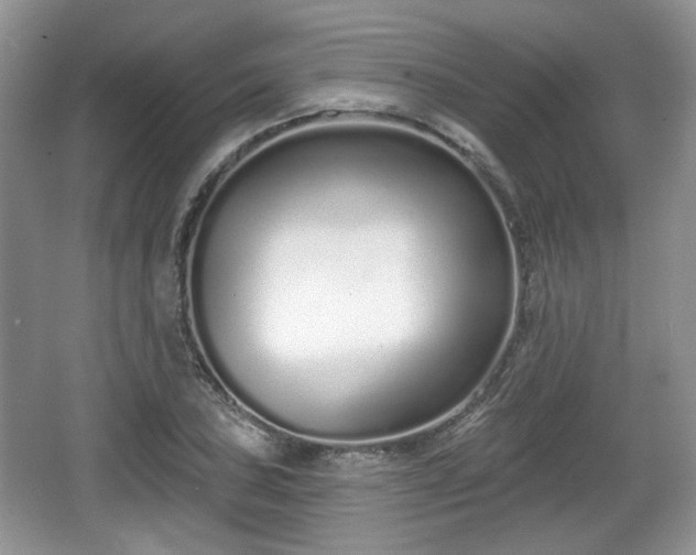 X0000067331027200604071320