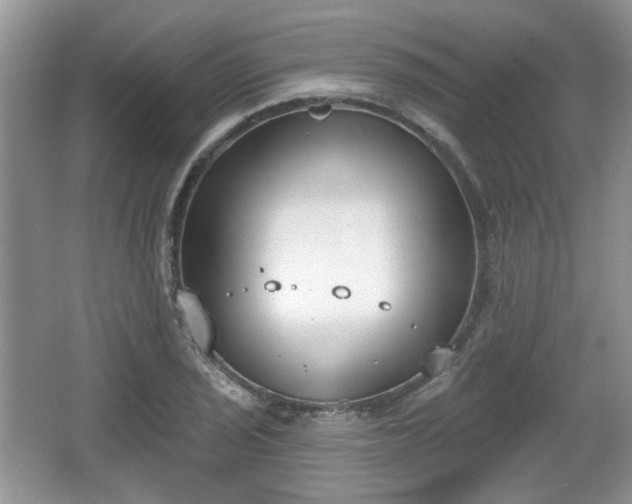 X0000067331029200604071320