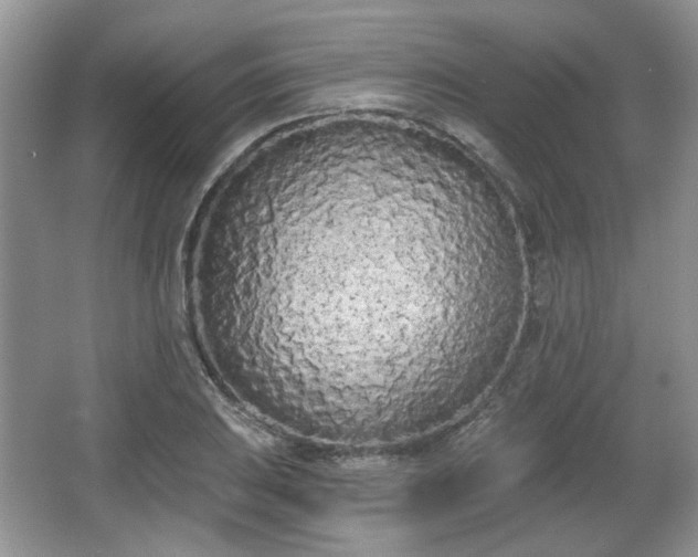 X0000067331031200604071320