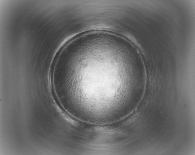 X0000067331032200604071320