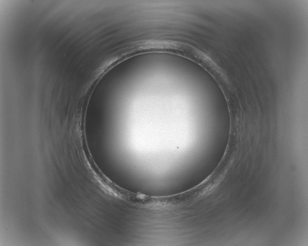 X0000067331033200604071320