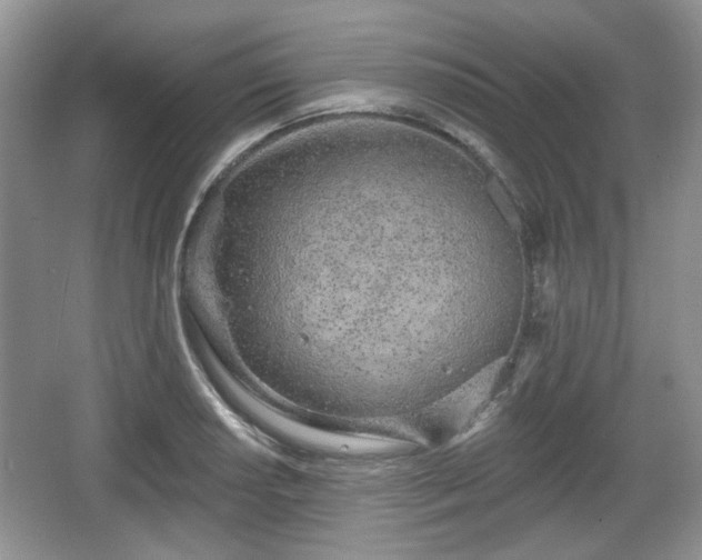 X0000067331034200604071320