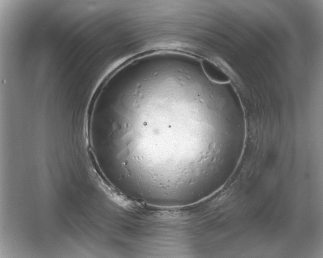 X0000067331036200604071320