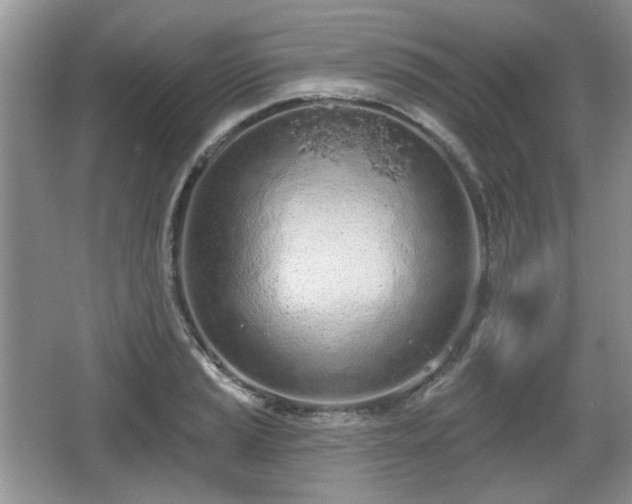 X0000067331037200604071320