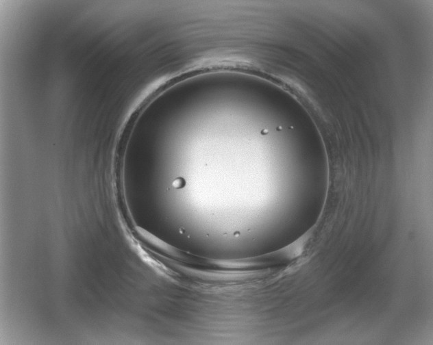 X0000067331038200604071320