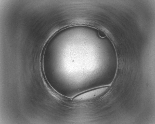 X0000067331039200604071320