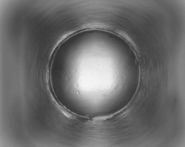 X0000067331040200604071320