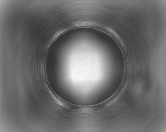 X0000067331041200604071320