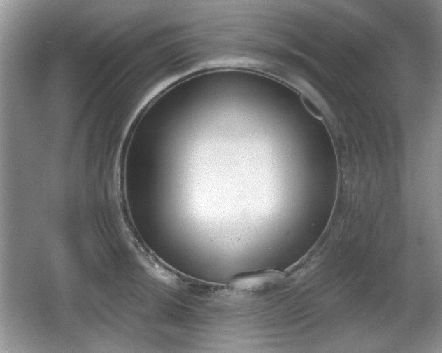 X0000067331044200604071320