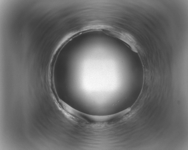 X0000067331046200604071320