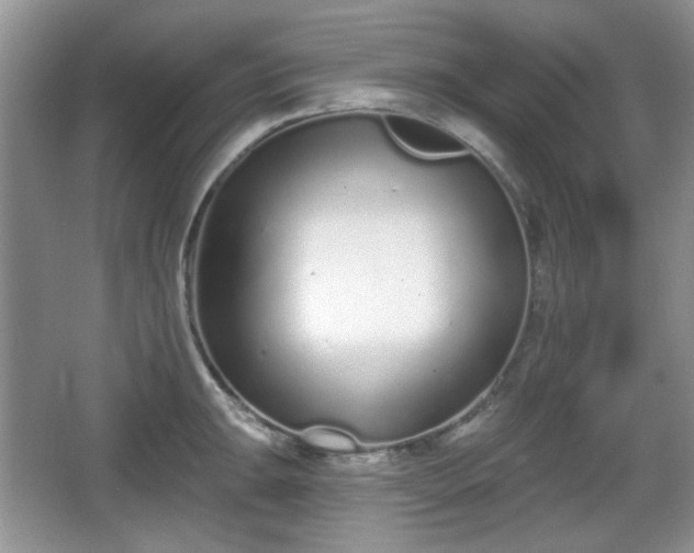 X0000067331047200604071320