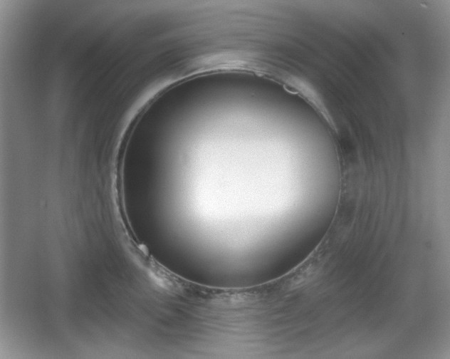 X0000067331051200604071320