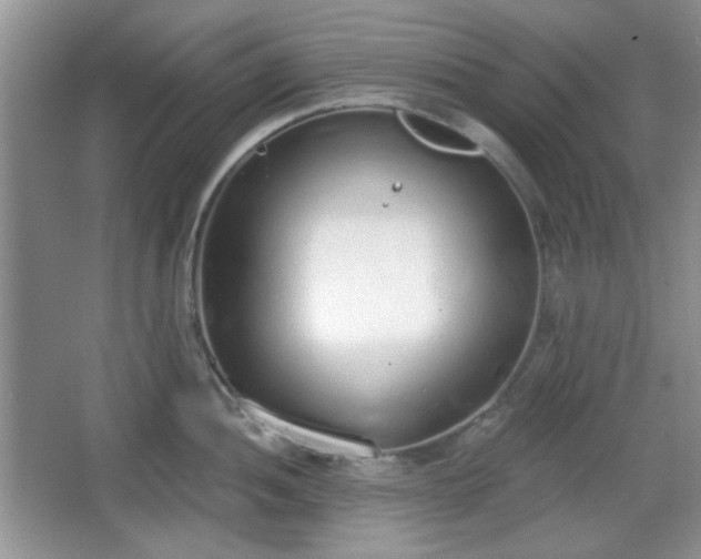 X0000067331052200604071320