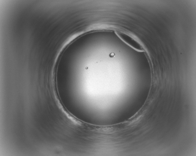 X0000067331053200604071320