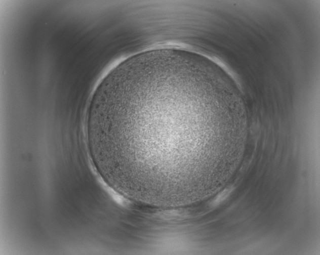 X0000067331054200604071320