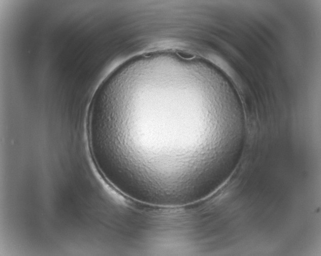 X0000067331055200604071320