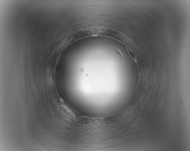 X0000067331058200604071319