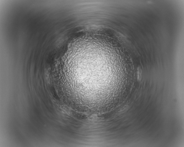 X0000067331059200604071319