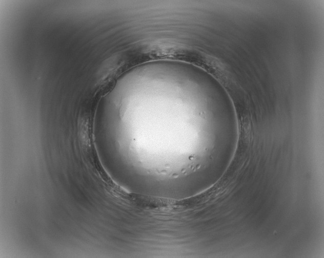 X0000067331060200604071319