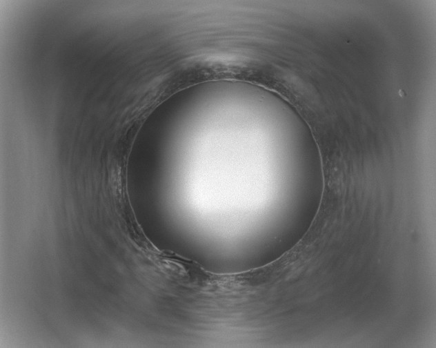 X0000067331061200604071319