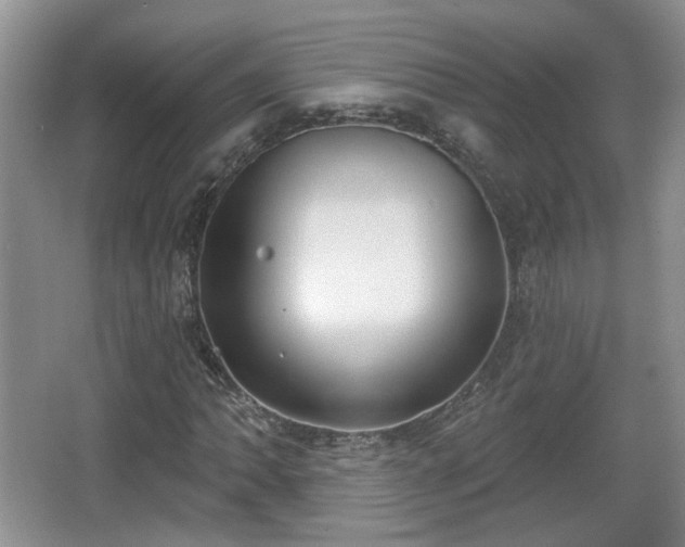 X0000067331062200604071319