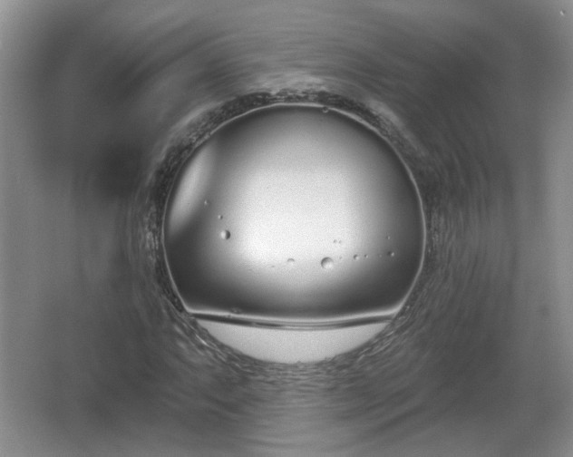 X0000067331063200604071319