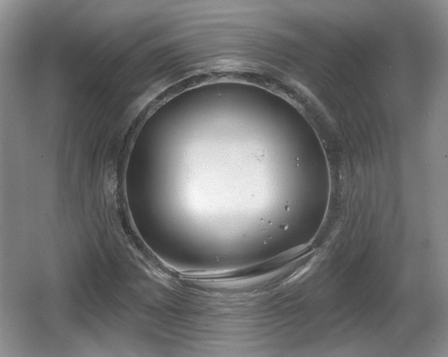 X0000067331065200604071319