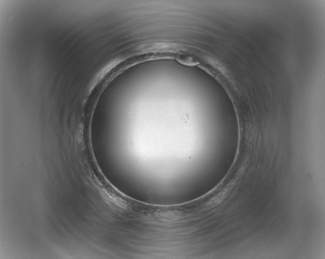 X0000067331066200604071319