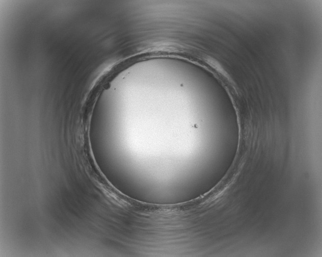 X0000067331067200604071319