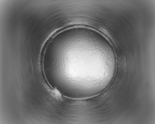 X0000067331068200604071319