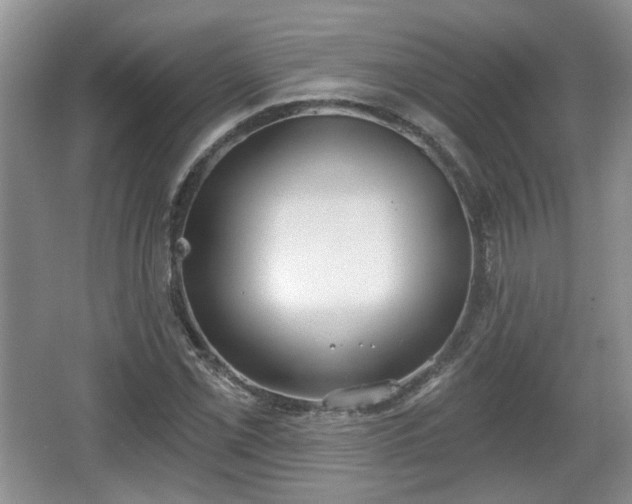 X0000067331069200604071319