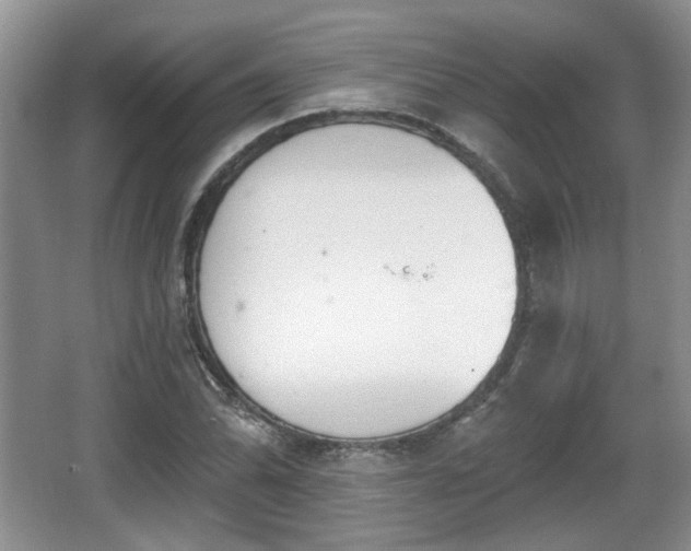 X0000067331070200604071319