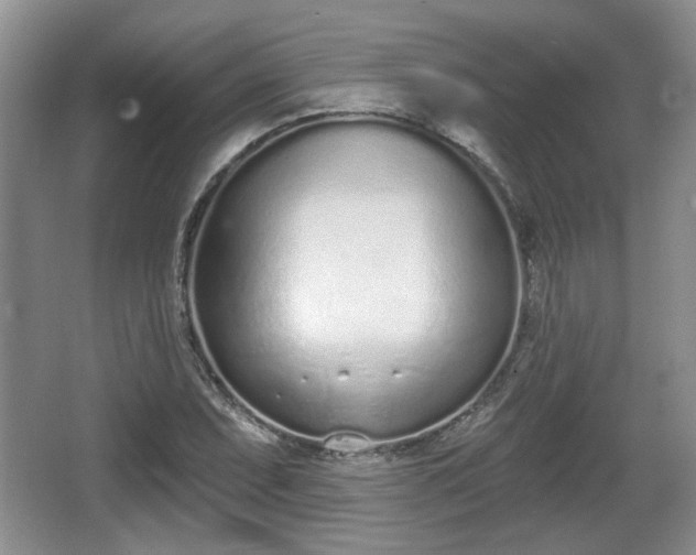 X0000067331071200604071319