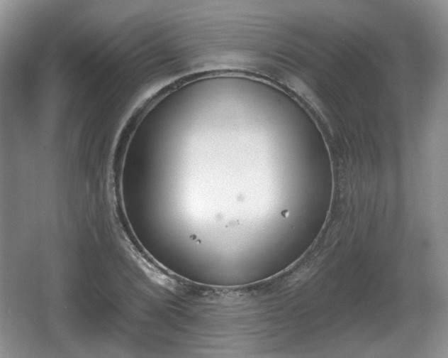 X0000067331072200604071319