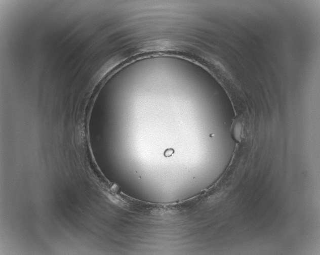 X0000067331073200604071319