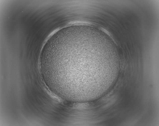 X0000067331074200604071319