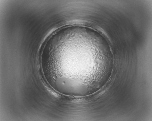 X0000067331075200604071319