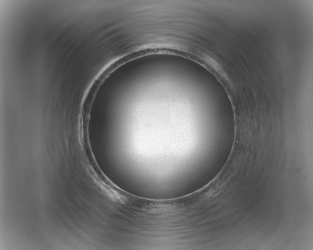 X0000067331076200604071319