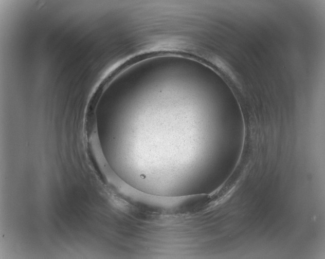 X0000067331077200604071319