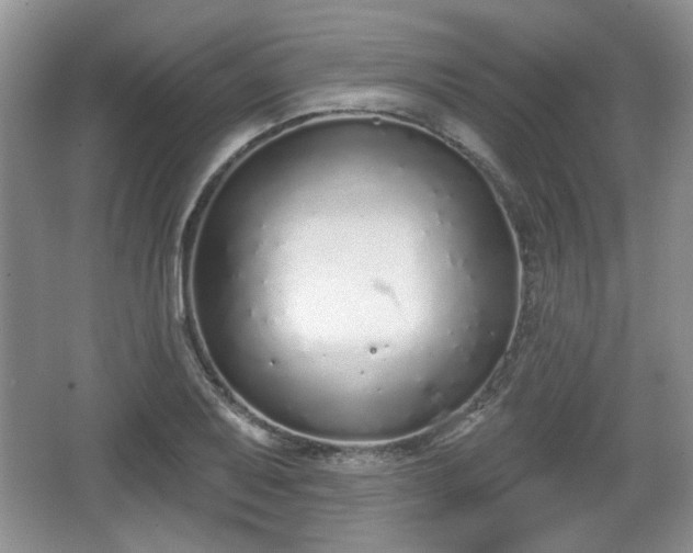 X0000067331079200604071319