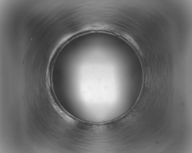 X0000067331080200604071319