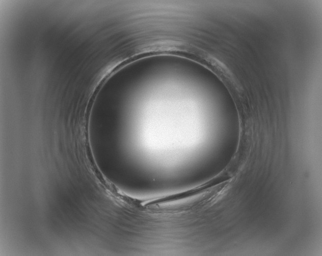 X0000067331081200604071319